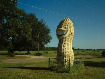 Jimmy Carter Peanut Statue shaped like a large smiling peanut on a grassy lawn behind a wire fence.