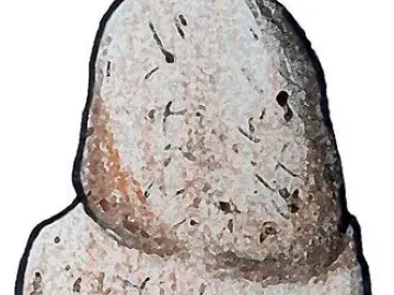 Venus of Tan-Tan, a light-colored pebble shaped like a stylized human figure seen from the back.