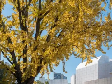 The Shade, a bronze-colored hunched male sculpture on a pedestal outdoors with modern white buildings in the background.