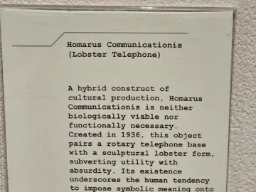 White information plaque for Lobster Telephone in a clear protective cover