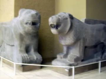 Two Sam\'al lion sculptures in stone displayed indoors on dark bases with a white railing in front.