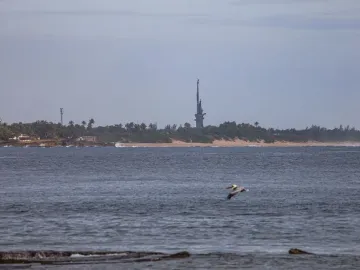 Birth of the New World sculpture on a wooded coastline with waves and a pelican flying over the water.
