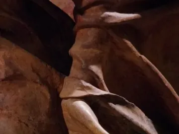 Close-up of a sculpted hand from Compianto sul Cristo morto, surrounded by dark draped folds.