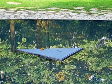Memorial to the Murdered Sinti and Roma of Europe with a triangular floating platform and orange flower in a reflecting pool.
