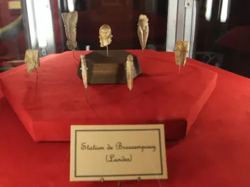 Venus of Brassempouy ivory head with a textured crown on a display rod, with other prehistoric figures blurred in the background.