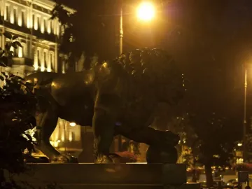 Lion sculpture at the Dvortsovaya Pier lit by streetlights at night.