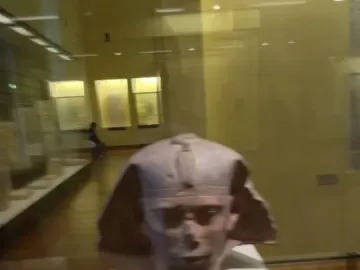Djedefre sphinx head displayed on a pedestal behind glass in a museum gallery.