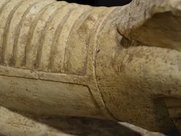 Close-up of a weathered stone arm from the Giants of Mont\'e Prama with carved ridges and an incised line.
