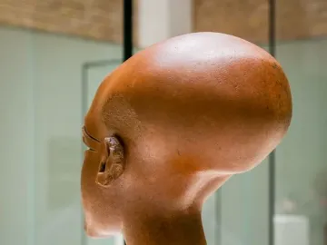 Side view of a reddish-brown stone head of a princess with a long, elongated cranium and visible ear and nose.