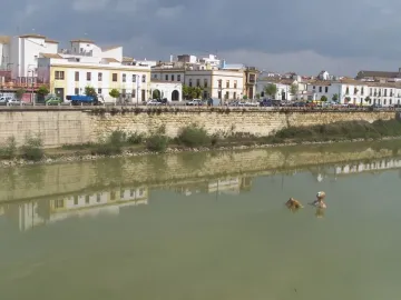 Hombre Río sculpture partially submerged in murky water with stone embankment and buildings in the background.