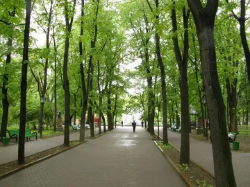 The Alley of Classics lined with bust pedestals along a tree-shaded park walkway.