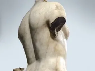 Weathered headless white stone statue of Venus Unica, seen from behind with draped lower body and damaged limbs.