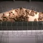 Talamone Pediment terracotta relief with warriors, horses, and chariots in a battle scene