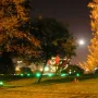Floralis Genérica partially visible behind trees at night, with a moon overhead and city lights in the distance.