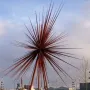 B of the Bang sculpture with long reddish-brown spikes radiating from a central point.