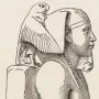Khafre enthroned bust in profile with a nemes headdress and protective falcon behind the head.