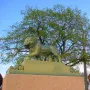 Bronze lion sculpture on a tall granite pedestal with a tree and blue sky behind it.