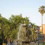The Three Graces Fountain in a grassy roundabout with traffic around it under clear skies.