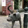 Het Zinneke bronze dog sculpture lifting its leg beside a street bollard in Brussels.
