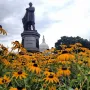 James A. Garfield Monument behind a field of yellow flowers with the U.S. Capitol dome in the background.