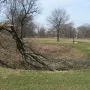 A broken tree stands beside a shallow ditch at Newark Earthworks, with a person walking a white dog in the background.