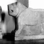 Two ancient stone lion sculptures, one shown frontally with an open mouth and the other in profile.