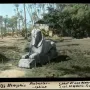 The Sphinx of Memphis stands on open ground with tall palm trees and dense foliage behind it.
