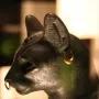 Gayer-Anderson cat in profile, showing a gold crescent earring and nose ring with detailed ear and forehead patterns.