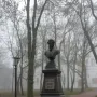 Bronze bust of Pushkin on a dark pedestal in a misty park.
