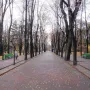 Alley of Classics lined with leafless trees, park benches, and sculptures on pedestals along a paved walkway.