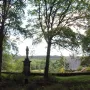 The Vénus de Quinipily stone sculpture stands on a tall pedestal between two trees, with fields and forest in the background.