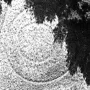 Aerial view of the Angelholm UFO Memorial site showing a large circular design with concentric rings, partly framed by dark trees.