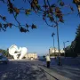 Peace Dove sculpture with smooth white abstract curves in a park
