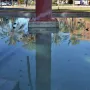 A shallow pool reflecting palm trees and buildings with a reddish-brown Pink Panther sculpture rising from the center.
