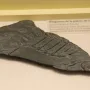 Bull Palette fragment with a stylized animal head, vertical bars, and a scaly creature in low relief.