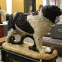 Bashaw, a sculpture of a black and white dog standing with its paws on a coiled snake in a museum display.