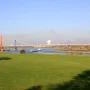 Rhine Orange standing on a grassy riverbank with a bridge and industrial structures in the background.