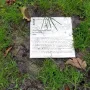 A rectangular plaque for De Schreeuw lies in damp ground among grass and scattered leaves.