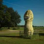 Jimmy Carter Peanut Statue shaped like a large smiling peanut on a grassy lawn behind a wire fence.
