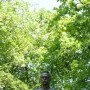 Bronze bust of Józef Piłsudski in military uniform on a stone base against a blue sky.