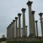 Capitol Columns standing in rows on a grassy lawn with a winding path and trees under a cloudy sky.