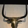 Toros de Costitx bronze bull head with a green patina mounted on a stone wall