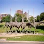 The Partisans sculpture shows several gaunt figures riding skeletal horses and holding tall poles in a grassy urban park.